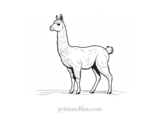 llama coloring page cartoon