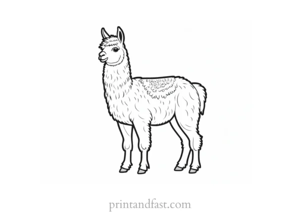 llama coloring page cute