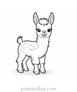 llama coloring page cute baby