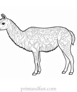 llama coloring page detailed