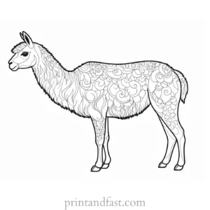 llama coloring page detailed