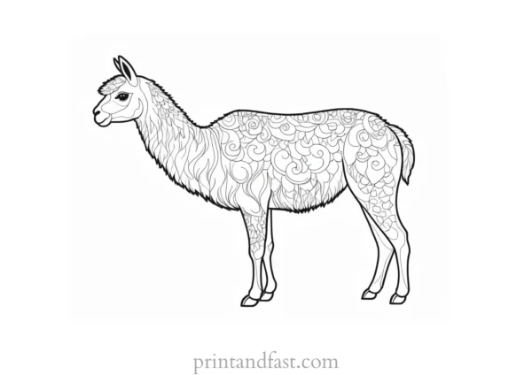 llama coloring page detailed