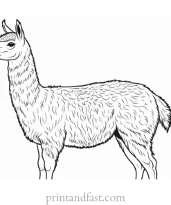 llama coloring page easy