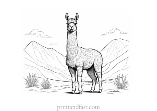 llama coloring page for adults