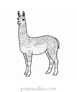 llama coloring page for kids