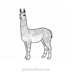 llama coloring page for kids