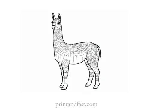 llama coloring page for kids