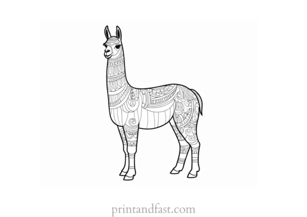 llama coloring page for kids