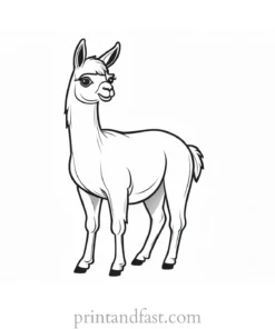 llama coloring page free