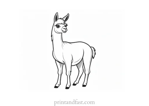 llama coloring page free