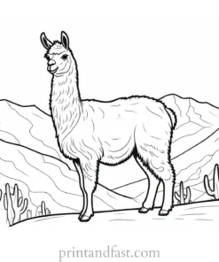 llama coloring page fun