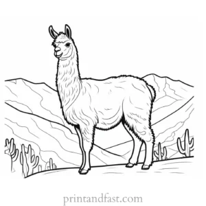 llama coloring page fun