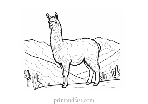 llama coloring page fun