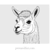 llama coloring page intricate