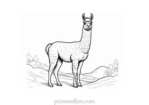 llama coloring page online