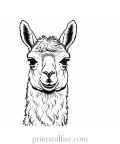 llama coloring page realistic