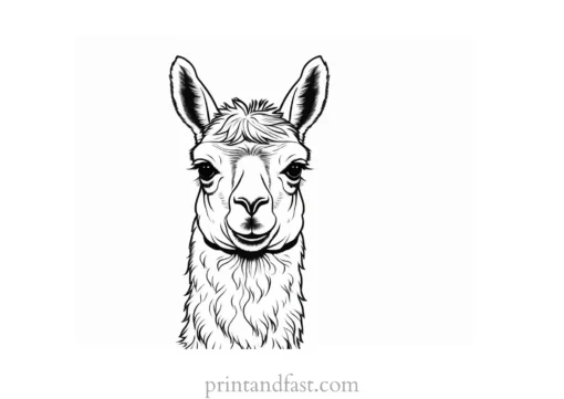 llama coloring page realistic