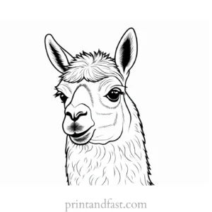 llama coloring page simple