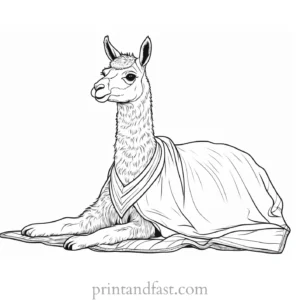 llama coloring page with blanket