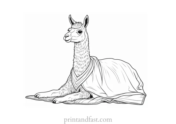 llama coloring page with blanket