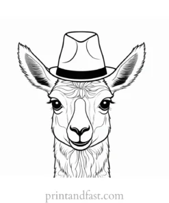 llama coloring page with hat