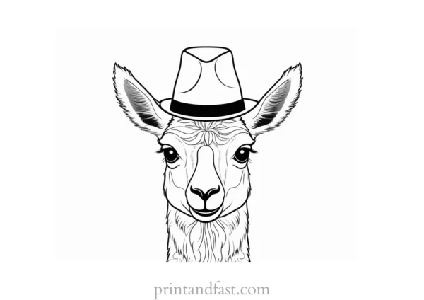 llama coloring page with hat