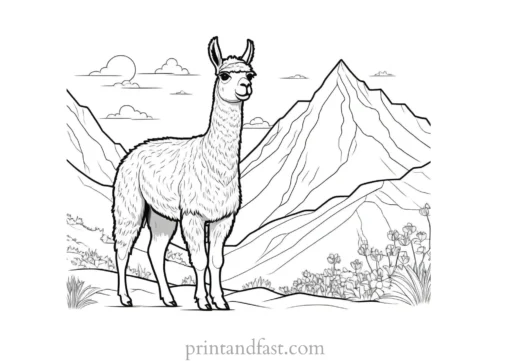 llama coloring page with mountains