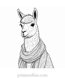 llama coloring page with scarf