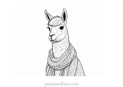 llama coloring page with scarf