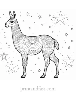 llama coloring page with stars