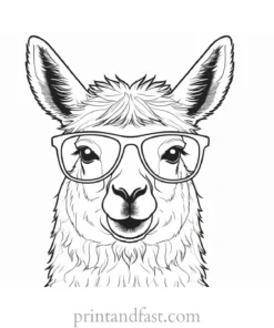 llama coloring page with sunglasses