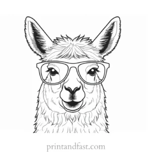 llama coloring page with sunglasses