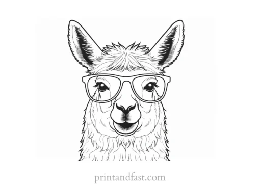 llama coloring page with sunglasses