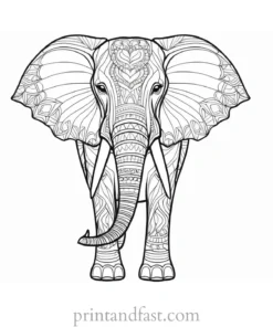 mandala elephant coloring page