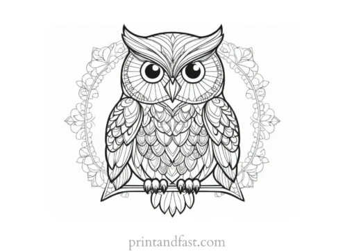 mandala owl coloring page