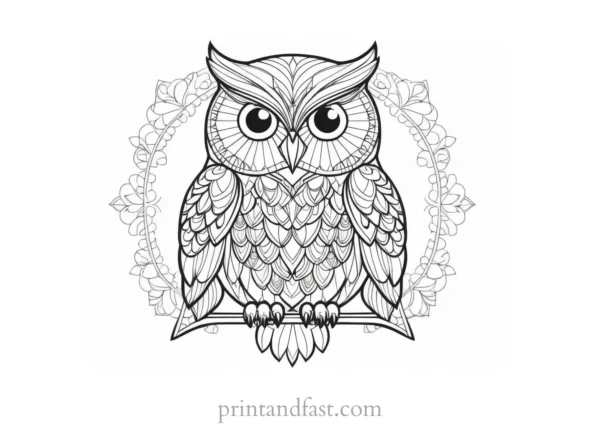 mandala owl coloring page