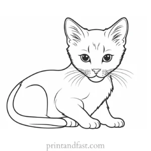 modern kitten coloring page