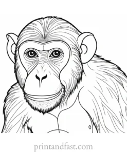 monkey Coloring Page Advanced