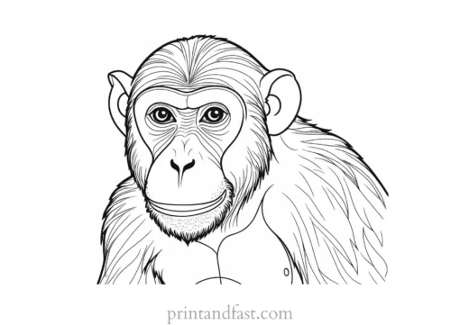 monkey Coloring Page Advanced