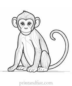 monkey Coloring Page Baby