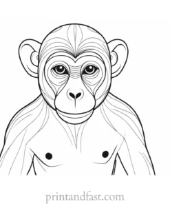 monkey Coloring Page Cute