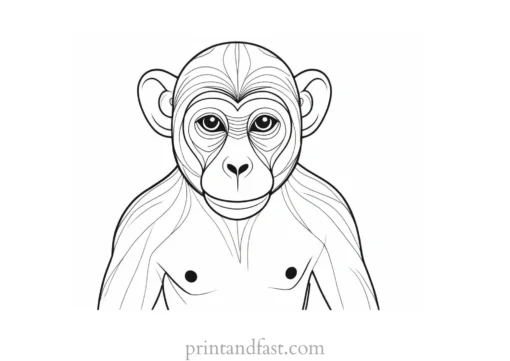 monkey Coloring Page Cute