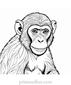 monkey Coloring Page Detailed