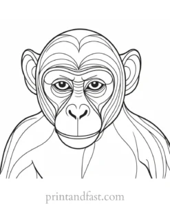 monkey Coloring Page Easy