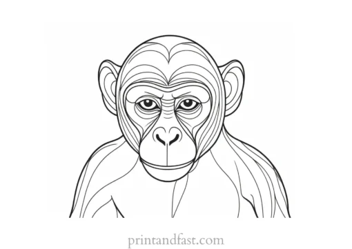 monkey Coloring Page Easy