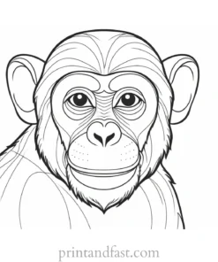 monkey Coloring Page Educational