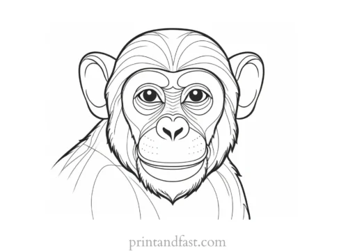 monkey Coloring Page Educational