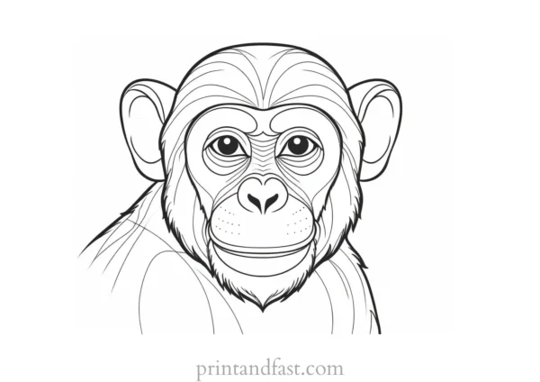 monkey Coloring Page Educational