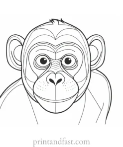 monkey Coloring Page Fun