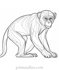 monkey Coloring Page Hard